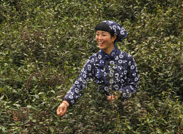 霓虹舞池